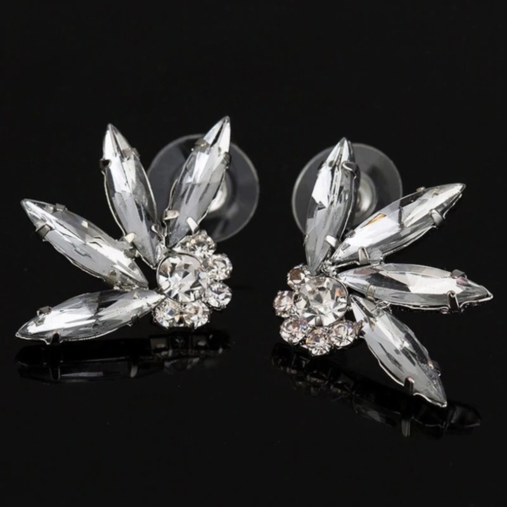 Sparkling Earrings